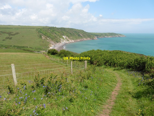 Photo 6"x4" Coastal path near Crabrock Point Brixham c2017