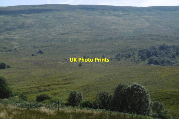 Photo 6"x4" Stockie Muir Craighat c2016