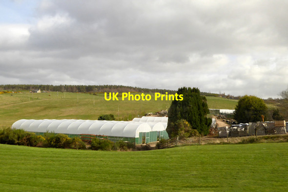 Photo 6"x4" Greens Nurseries Littlemill\/NH9150 c2017