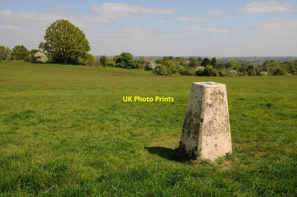 Photo 6"x4" Trig point on the Old Hills Brayswick c2017