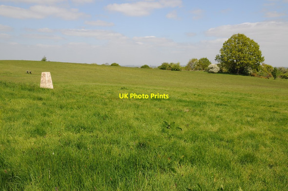 Photo 6"x4" The Old Hills Brayswick c2017