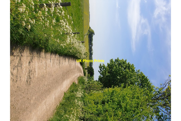 Photo 6"x4" Byway to Pigleaze and Lower Everleigh East Everleigh c2017