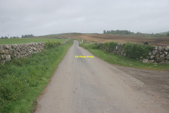 Photo 6"x4" The road from Rascarrel Auchencairn\/NX7951 c2017