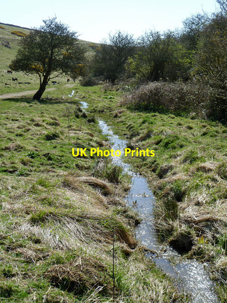 Photo 6"x4" Stream, Seacombe Bottom Worth Matravers c2013