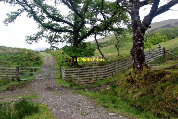 Photo 6"x4" Gate on the road to Duiletter Stronmilchan c2017