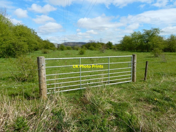Photo 6"x4" Field gate at Kilmalid Dumbarton c2017