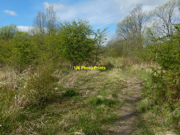 Photo 6"x4" Path near the River Leven Dumbarton c2017