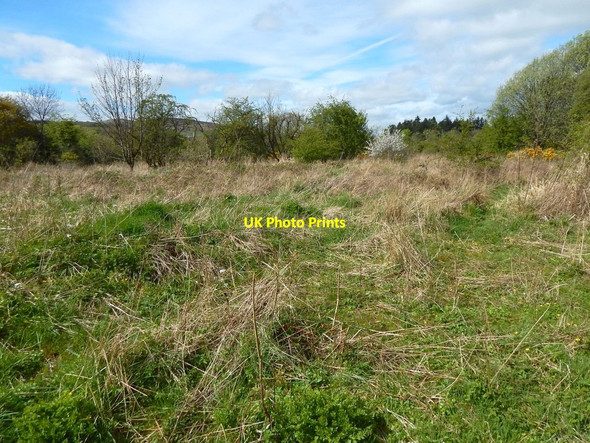 Photo 6"x4" Rough ground near the River Leven Dumbarton c2017