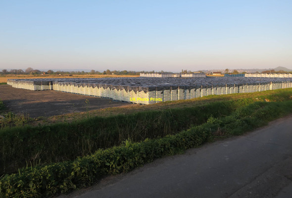 Photo 6"x4" Bagged up peat by Sharpham Lane Street\/ST4836 c2017