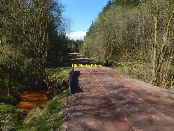 Photo 6"x4" Forestry track on Bannachra Muir Craigendoran c2017