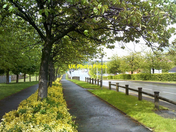 Photo 6"x4" Tree Lined Paths Brierley Hill\/SO9286 c2017