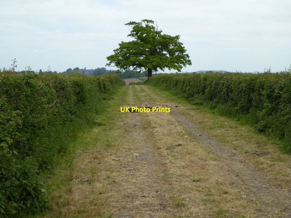 Photo 6"x4" Track on Hook Bank Hook Bank c2017
