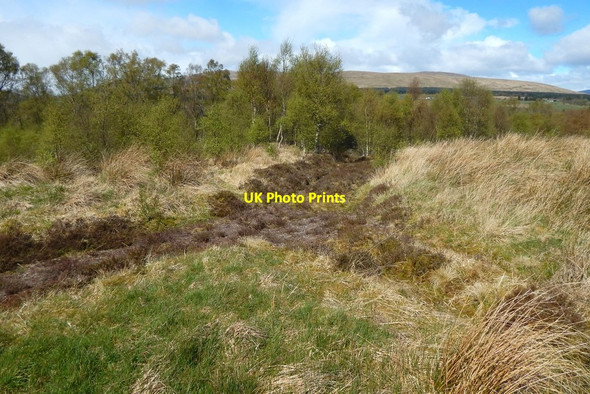 Photo 6"x4" Disused deep tracks Craigendoran c2017