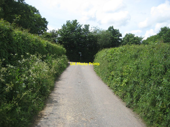 Photo 6"x4" Higher road Woodbury Salterton c2017