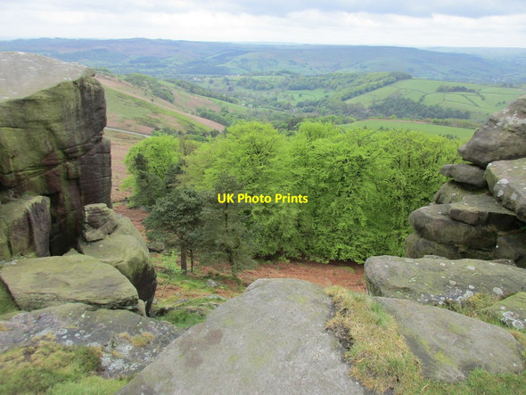 Photo 6"x4" View into Stanage Plantation Hathersage c2017