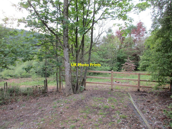 Photo 6"x4" Woodland by the car park of the Yorkshire Bridge Inn Ashopton c2017