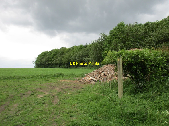 Photo 6"x4" Footpath to New Rise Rise\/TA1542 c2017