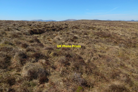 Photo 6"x4" Moorland north of Tom na h-Airidh Rhu\/NS2684 c2017
