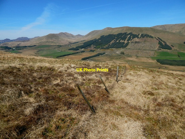 Photo 6"x4" Fence above Glen Fruin Shandon\/NS2586 c2017