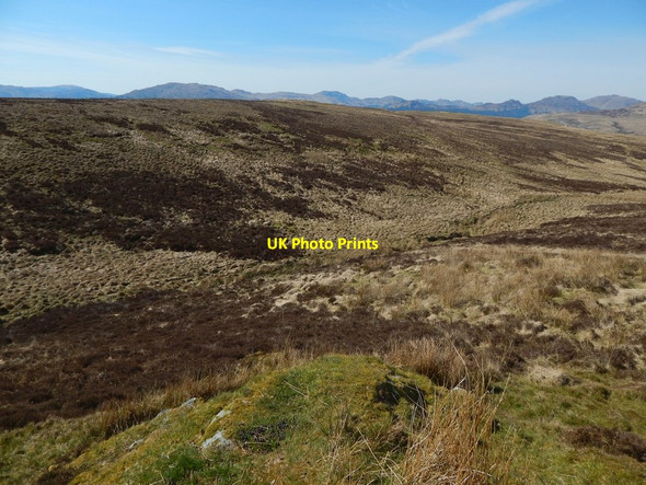 Photo 6"x4" The course of a burn Shandon\/NS2586 c2017