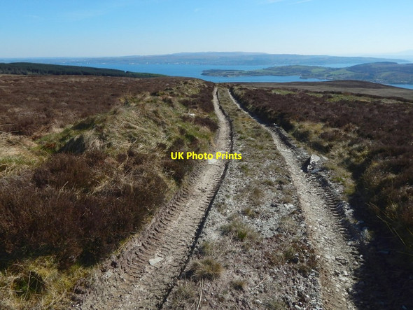 Photo 6"x4" A track on the moor Shandon\/NS2586 c2017