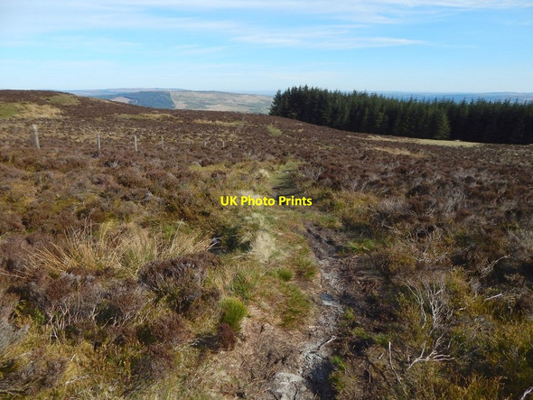 Photo 6"x4" Path near an anemometer mast Rhu\/NS2684 c2017