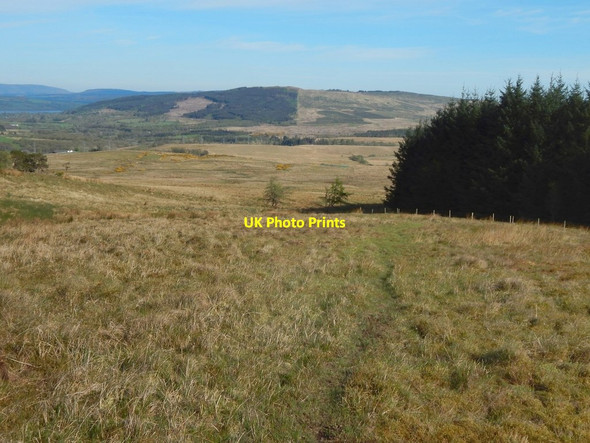 Photo 6"x4" Path from Tom na h-Airidh Helensburgh c2017