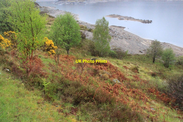 Photo 6"x4" Shoreline of Loch Cluanie Meall Breac\/NH1111 c2017