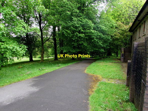 Photo 6"x4" Path through the western edge of Bedwellty Park, Tredegar Tredegar c2017