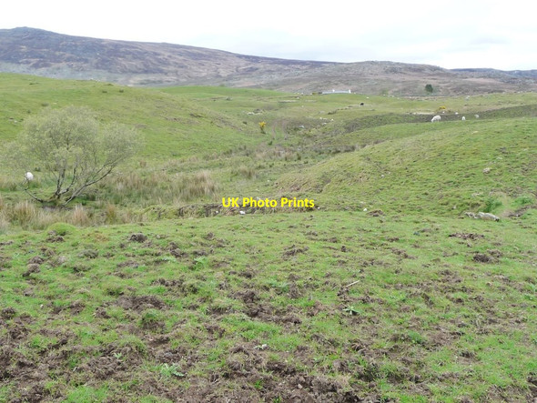 Photo 6"x4" Valley of a small tributary of Afon Dwyfach Bryncir c2017