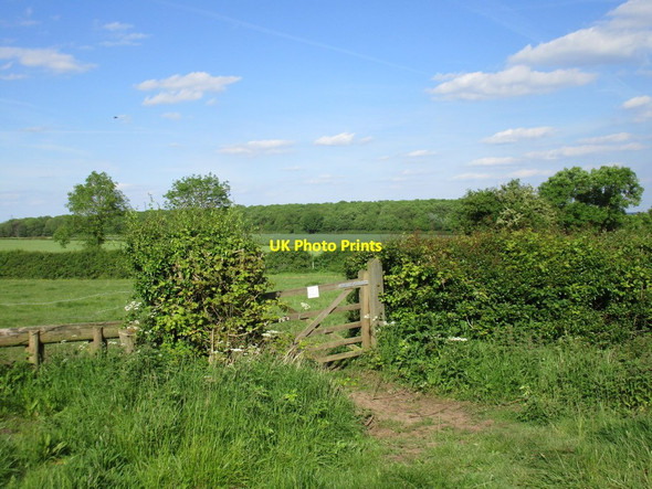 Photo 6"x4" Gateway on bridleway to Norwell Woodhouse Caunton c2017