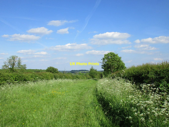 Photo 6"x4" Moor Lane Caunton c2017