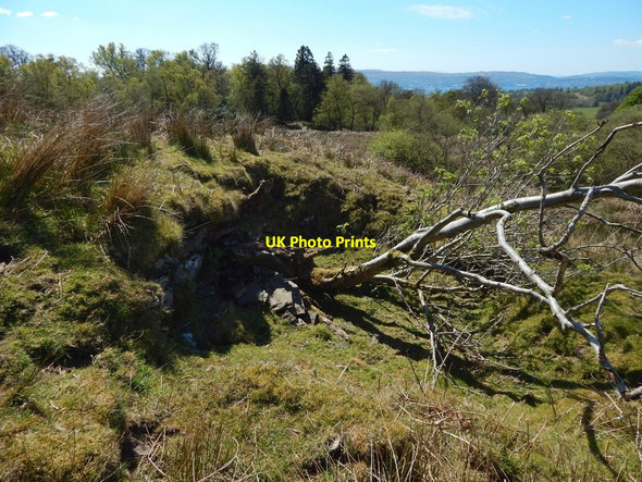 Photo 6"x4" Old quarry pit Arden\/NS3684 c2017 P1