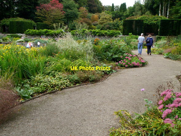 Photo 6"x4" Castle Drogo ,garden Drewsteignton c2013