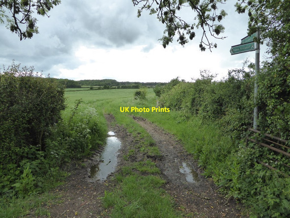 Photo 6"x4" Footpath and bridleway Bushley Green c2017