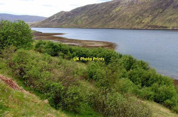 Photo 6"x4" Loch Sligachan from Sconser Sconser c2017