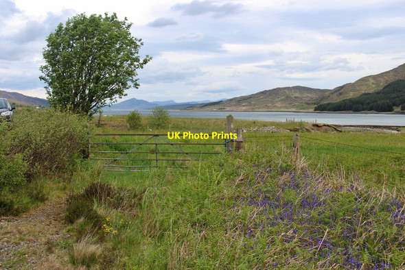 Photo 6"x4" Bluebells at Strollamus Dunan\/An D\u00f9nan c2017