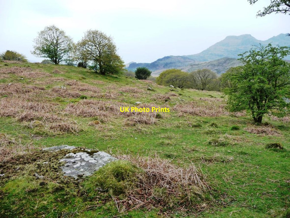 Photo 6"x4" Farmland north of Neuadd Ddu, near Manod Blaenau Ffestiniog c2017