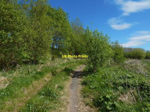 Photo 6"x4" Path to Havock Brucehill\/NS3875 c2017