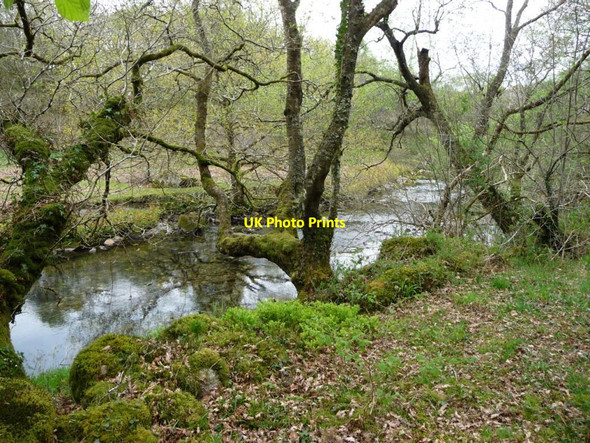 Photo 6"x4" Afon Goedol, calmer between waterfalls Blaenau Ffestiniog c2017