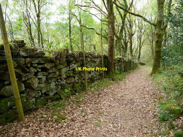 Photo 6"x4" Wall heightened with fencing, Coed Cymerau Isaf Rhyd-y-sarn c2017