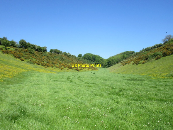 Photo 6"x4" Wood Dale Sledmere c2017