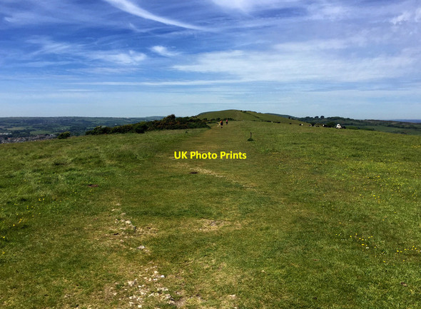 Photo 6"x4" Ballard Down Studland c2017