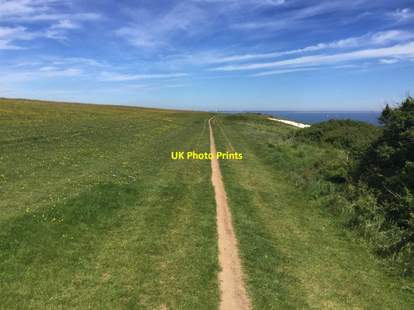 Photo 6"x4" South West Coast Path approaching Handfast Point Studland c2017