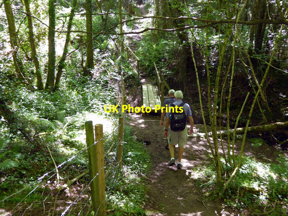 Photo 6"x4" Footbridge in small gill Cinder Hill\/TQ3729 c2017