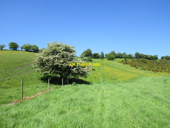 Photo 6"x4" Wood Dale Sledmere c2017