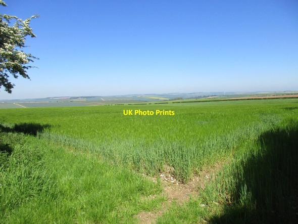 Photo 6"x4" View over Weaverthorpe Pasture and the Great Wold Valley Weaverthorpe c2017