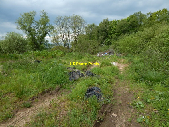 Photo 6"x4" Track beside Cardross Road Ardoch\/NS3676 c2017