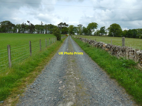 Photo 6"x4" Track to Asker Farm Cardross\/NS3477 c2017