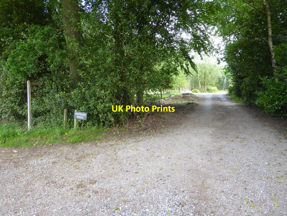 Photo 6"x4" Bridleway from Birchgrove Road passes Newnham's Wood Birchgrove\/TQ4029 c2017